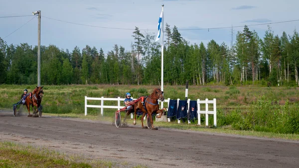 フィンランドのパウマラ 2023年6月30日 ロバート ハーネス レース 馬愛好家の地元社会の競争 ハーネス ポニー 人と馬の感情が閉じる ストックフォト