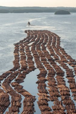 Odun taşımacılığı. Nehirde yüzen çiğ kütükler. Kereste salları, odun kesme. Römorkör kütüğü çekiyor. Finlandiya.