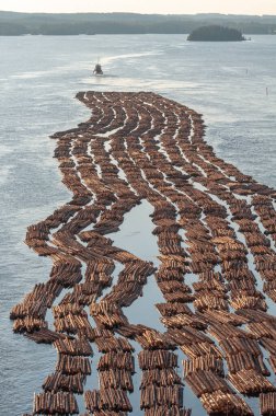Odun taşımacılığı. Nehirde yüzen çiğ kütükler. Kereste salları, odun kesme. Römorkör kütüğü çekiyor. Finlandiya.