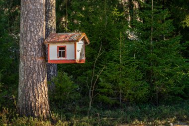 Bir peri masalı, parlak, güzel kuş evi yeşil kozalaklı bir ormanın arka planına karşı kalın bir çam gövdesine bağlıdır..