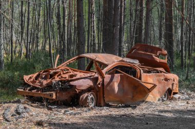 Terk edilmiş, harap olmuş, son derece paslı bir araba orman yolunda.