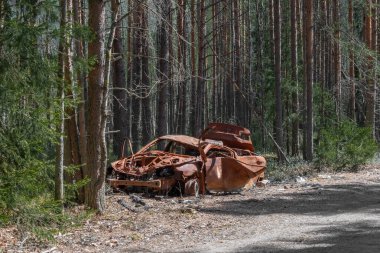 Terk edilmiş, harap olmuş, son derece paslı bir araba orman yolunda.