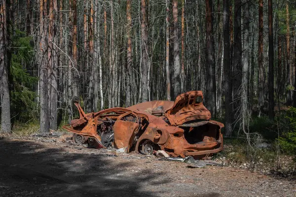 Terk edilmiş, harap olmuş, son derece paslı bir araba orman yolunda.