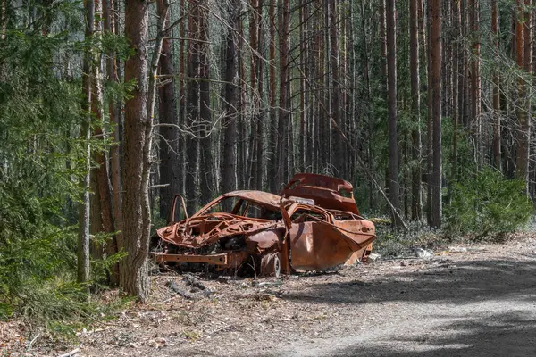 Terk edilmiş, harap olmuş, son derece paslı bir araba orman yolunda.