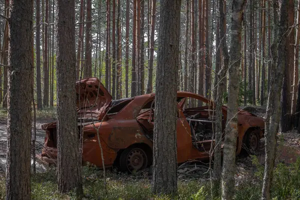 Terk edilmiş, harap olmuş, son derece paslı bir araba orman yolunda.
