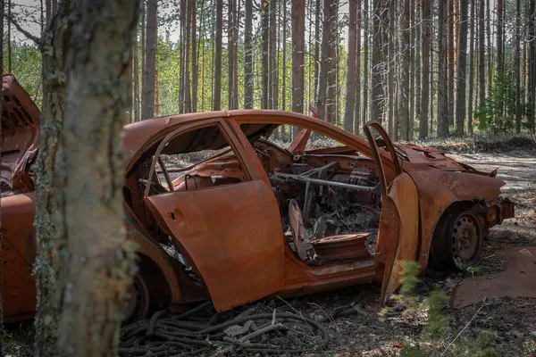 Terk edilmiş, harap olmuş, son derece paslı bir araba orman yolunda.