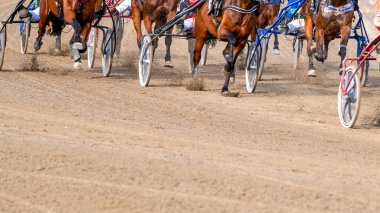 Binicilik sporu. Atlar koşum takımı yarışında yarışıyor. Boşluğu kopyala.