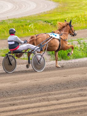 Binicilik sporu. Dikey fotoğraf pankartı. Metnin için alanı kopyala. Atlar koşum takımı yarışında yarışıyor.