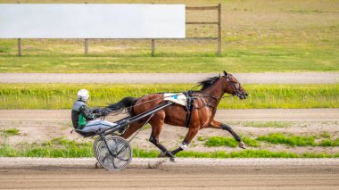 Bir at yarışı sırasında, bir sürücü pistteki reklam posterlerinin içeriğini dikkatle incelemeye karar verdi. Reklamınız için pankarta boşluk kopyalayın.