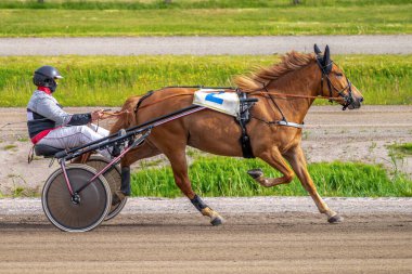 Binicilik sporu. Yatay fotoğraf afişi. Metnin için alanı kopyala. Atlar koşum takımı yarışında yarışıyor.