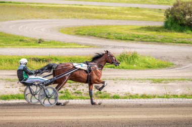 Binicilik sporu. Yatay fotoğraf afişi. Metnin için alanı kopyala. Atlar koşum takımı yarışında yarışıyor.