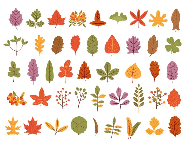 白い背景にかわいい秋の葉が置かれています シンプルな漫画フラットスタイル ストックイラスト 秋の葉のデザイン ストック写真