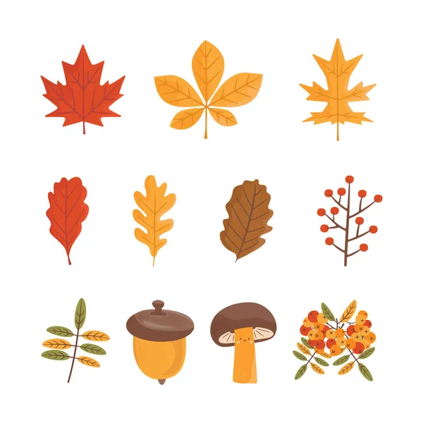 Autumn Hand Drawn Clipart Collection Fall Season Cozy Symbols Bundle — Stock Photo, Image