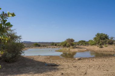 Suudi Arabistan, Madeena yakınlarında güzel bir çöl gölü