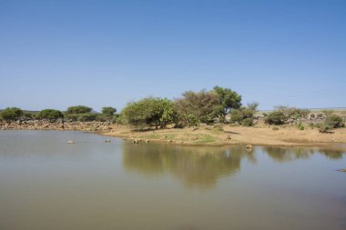 Suudi Arabistan, Madeena yakınlarında güzel bir çöl gölü