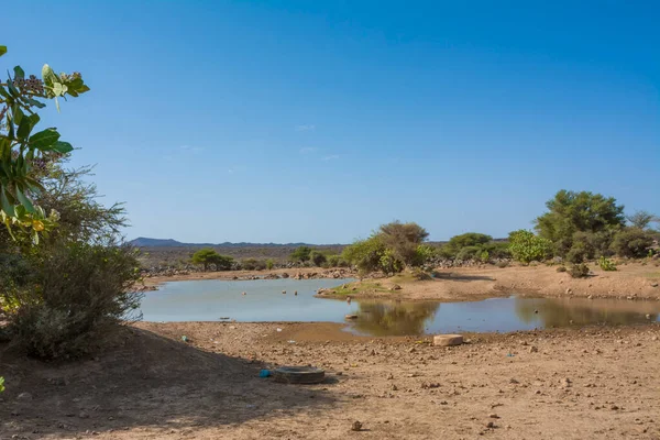 stock image Beautiful desert lake near Madeena, Saudi arabia