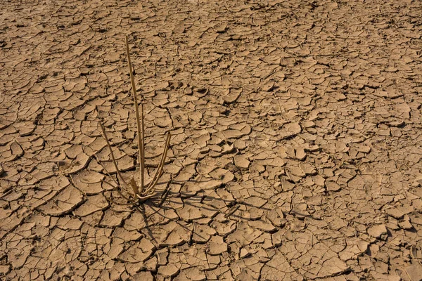 具有自然干旱主题的背景破碎的土地 — 图库照片