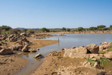 Suudi Arabistan, Madeena yakınlarında güzel bir çöl gölü
