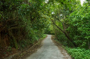 Kırsal yolun güzel manzarası