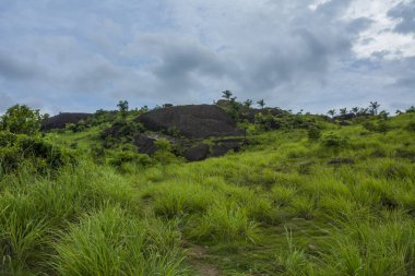 Fil kaya bakış açısı görünümü