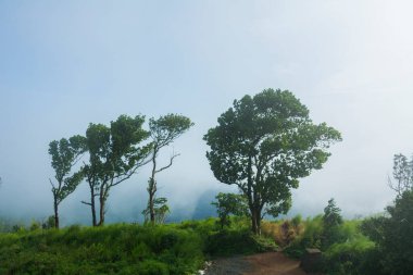 Kodikuthi mala, Hindistan 'ın Kerala bölgesinin Malappuram bölgesinde yer alan bir tepe istasyonudur..