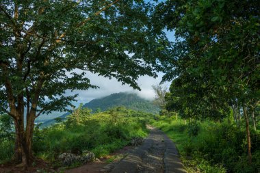 Kodikuthi mala, Hindistan 'ın Kerala bölgesinin Malappuram bölgesinde yer alan bir tepe istasyonudur..