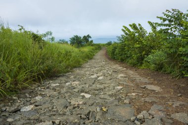 Kodikuthi mala yolu, Kodikuthi mala Hindistan 'ın Kerala ilçesinin Malappuram ilçesinde bir tepe istasyonudur..