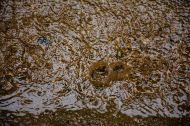 Yağmur damlası resim arkaplanı