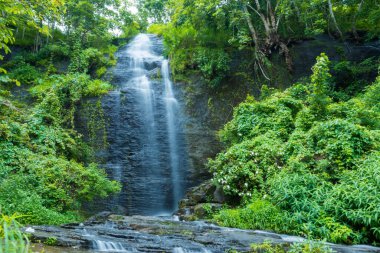 Paloorkotta 'da, Perinthalmanna yakınlarında, Malappuram Bölgesi, Kerala, Güney Hindistan