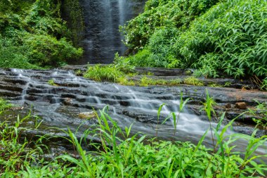Paloorkotta 'da, Perinthalmanna yakınlarında, Malappuram Bölgesi, Kerala, Güney Hindistan