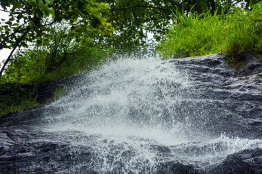 Paloorkotta 'da, Perinthalmanna yakınlarında, Malappuram Bölgesi, Kerala, Güney Hindistan