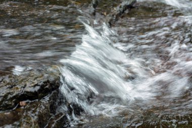 Paloorkotta 'da, Perinthalmanna yakınlarında, Malappuram Bölgesi, Kerala, Güney Hindistan