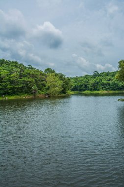Güney Hindistan, Kerala, Trissur bölgesinde bulunan Asurankund barajının güzel manzarası.