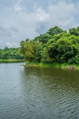 Güney Hindistan, Kerala, Trissur bölgesinde bulunan Asurankund barajının güzel manzarası.