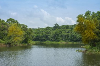 Güney Hindistan, Kerala, Trissur bölgesinde bulunan Asurankund barajının güzel manzarası.