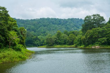 Güney Hindistan, Kerala, Trissur bölgesinde bulunan Asurankund barajının güzel manzarası.