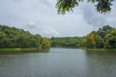 Güney Hindistan, Kerala, Trissur bölgesinde bulunan Asurankund barajının güzel manzarası.