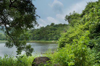 Güney Hindistan, Kerala, Trissur bölgesinde bulunan Asurankund barajının güzel manzarası.
