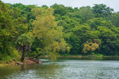 Güney Hindistan, Kerala, Trissur bölgesinde bulunan Asurankund barajının güzel manzarası.