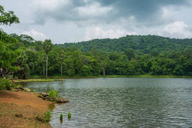 Güney Hindistan, Kerala, Trissur bölgesinde bulunan Asurankund barajının güzel manzarası.