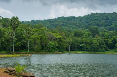 Güney Hindistan, Kerala, Trissur bölgesinde bulunan Asurankund barajının güzel manzarası.