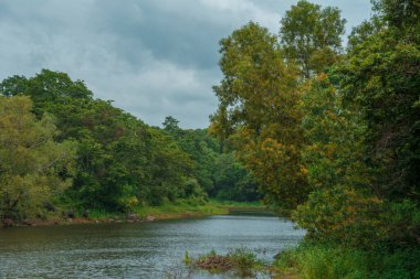 Güney Hindistan, Kerala, Trissur bölgesinde bulunan Asurankund barajının güzel manzarası.