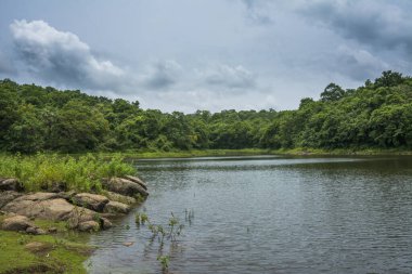 Güney Hindistan, Kerala, Trissur bölgesinde bulunan Asurankund barajının güzel manzarası.