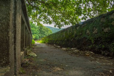 Güney Hindistan, Kerala, Trissur bölgesinde bulunan Asurankund barajındaki orman yolu.
