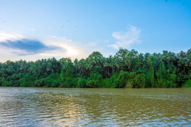 Kerala 'da günbatımı nehri güzel görüntü