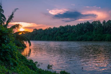 Kerala 'da günbatımı nehri güzel görüntü