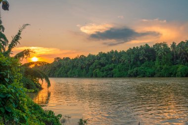 Kerala 'da günbatımı nehri güzel görüntü