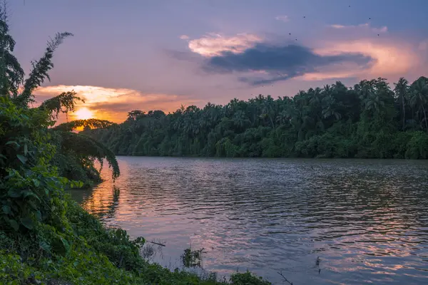 Kerala 'da günbatımı nehri güzel görüntü