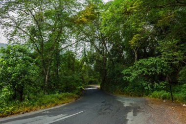 Attappadi Yolu 'nun güzel manzarası, Güney Hindistan, Kerala, Palakkad bölgesinde yer alıyor.