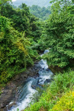 Attappadi, Palakkad Bölgesi Kerala, Güney Hindistan 'daki orman şelalelerinin güzel manzarası.